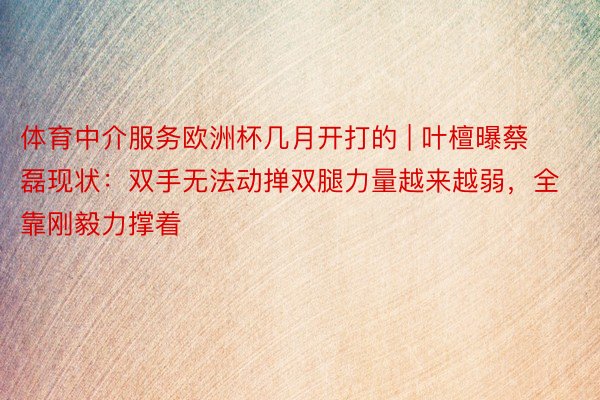 体育中介服务欧洲杯几月开打的 | 叶檀曝蔡磊现状：双手无法动掸双腿力量越来越弱，全靠刚毅力撑着