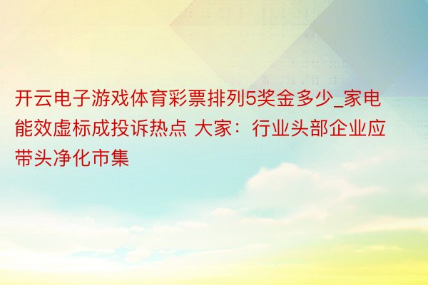 开云电子游戏体育彩票排列5奖金多少_家电能效虚标成投诉热点 大家：行业头部企业应带头净化市集