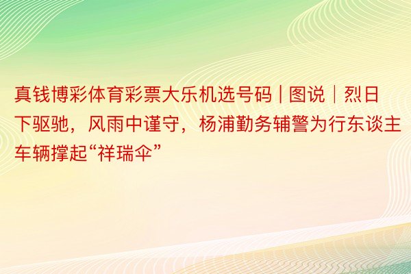 真钱博彩体育彩票大乐机选号码 | 图说│烈日下驱驰，风雨中谨守，杨浦勤务辅警为行东谈主车辆撑起“祥瑞伞”