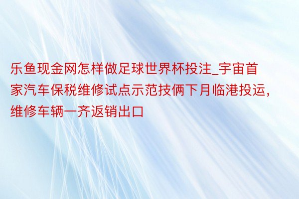 乐鱼现金网怎样做足球世界杯投注_宇宙首家汽车保税维修试点示范技俩下月临港投运，维修车辆一齐返销出口