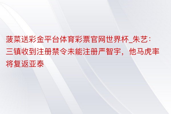 菠菜送彩金平台体育彩票官网世界杯_朱艺：三镇收到注册禁令未能注册严智宇，他马虎率将复返亚泰