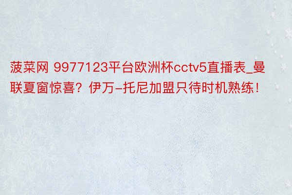 菠菜网 9977123平台欧洲杯cctv5直播表_曼联夏窗惊喜？伊万-托尼加盟只待时机熟练！