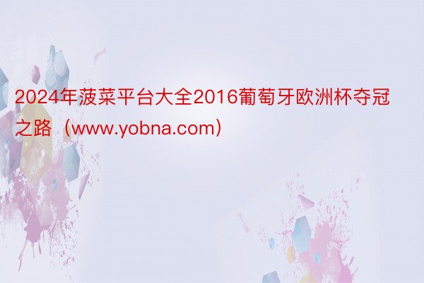 2024年菠菜平台大全2016葡萄牙欧洲杯夺冠之路（www.yobna.com）