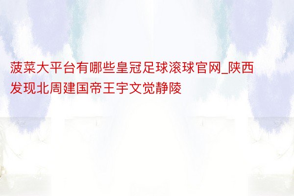 菠菜大平台有哪些皇冠足球滚球官网_陕西发现北周建国帝王宇文觉静陵